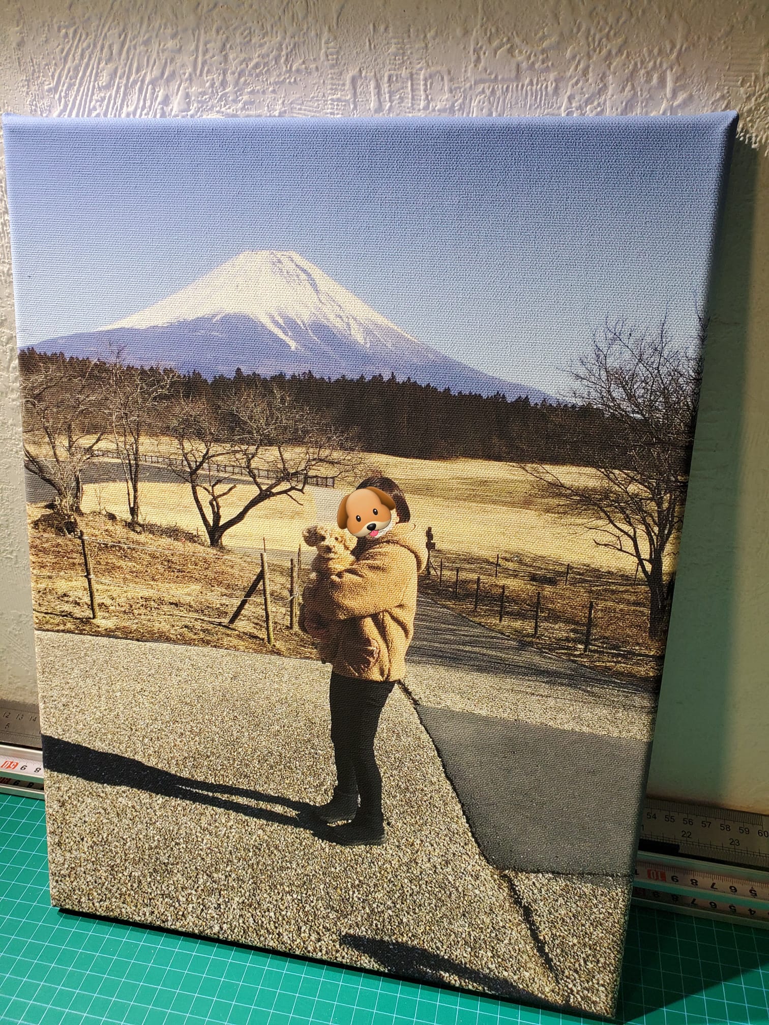 日本呀
