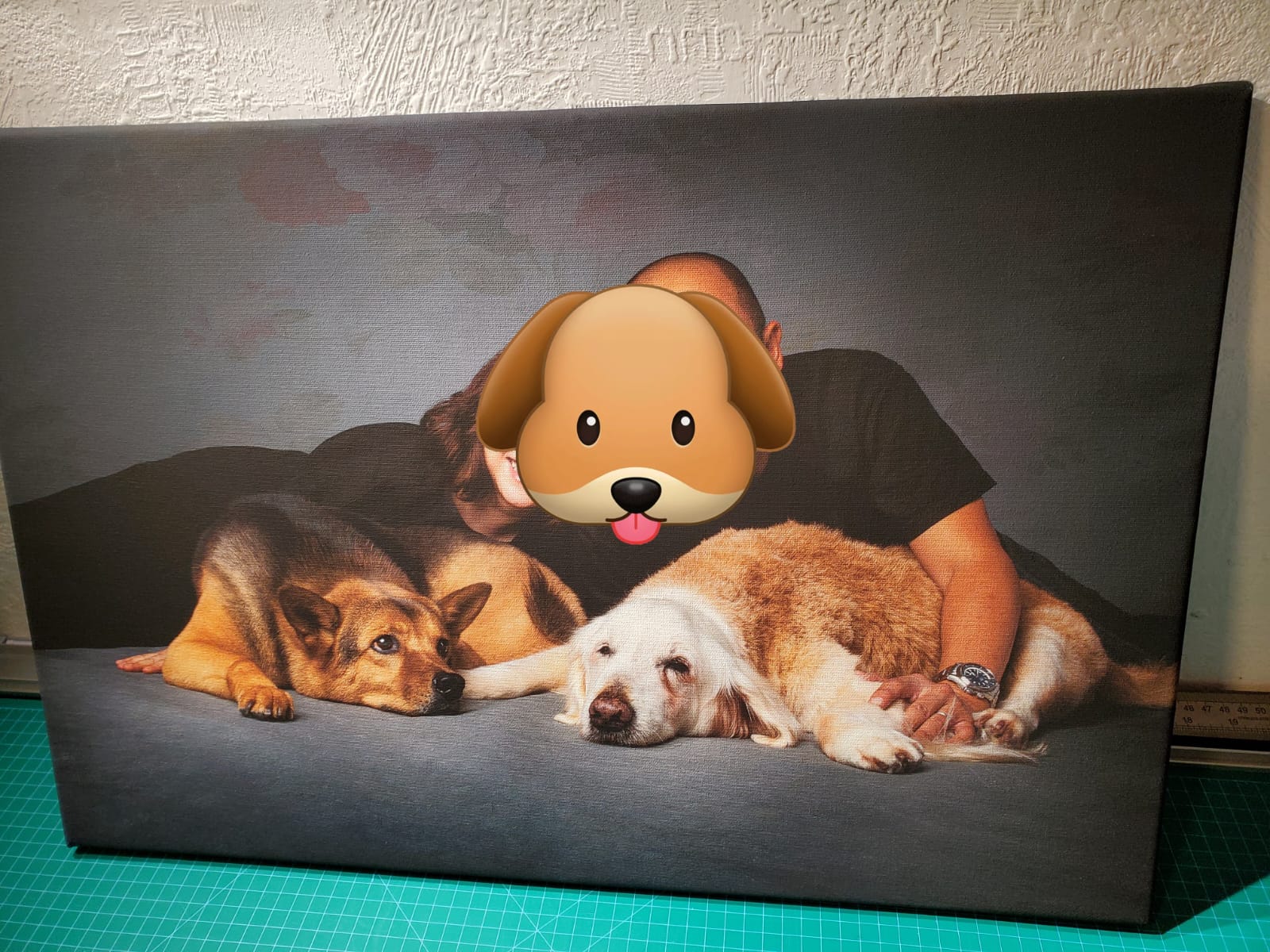 動物油畫